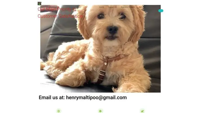 Screenshot of