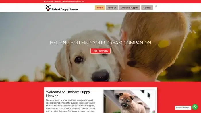Screenshot of