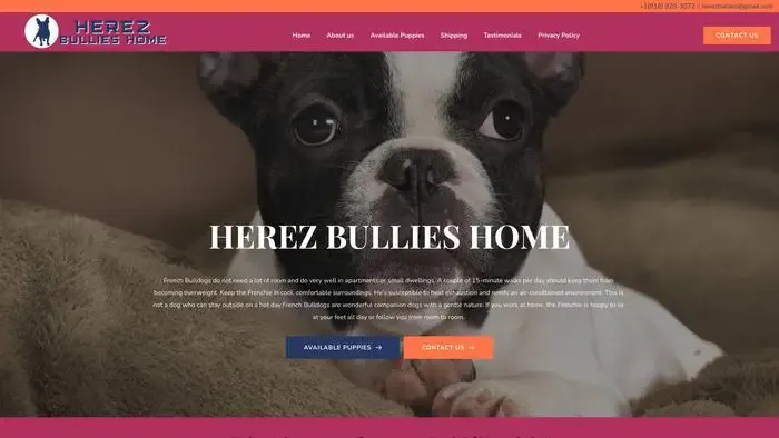 Screenshot of