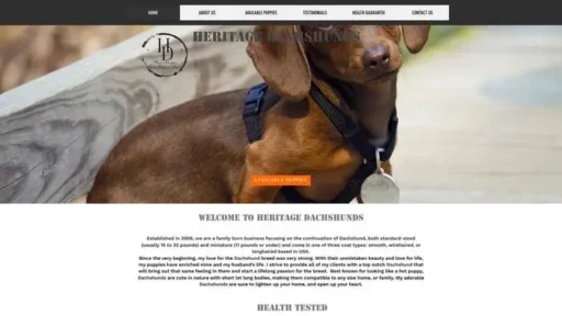 Screenshot of