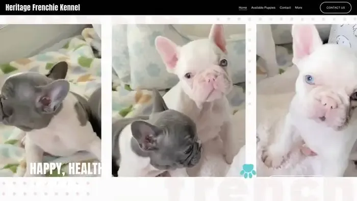 Screenshot of