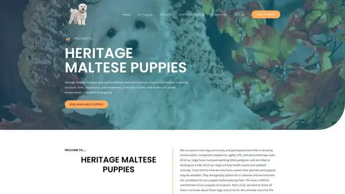 Screenshot of