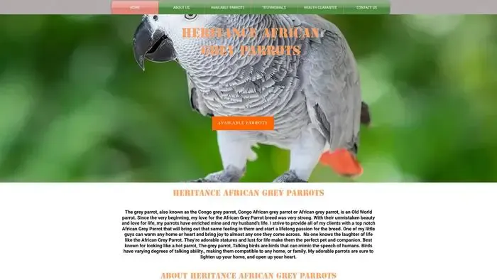 Screenshot of