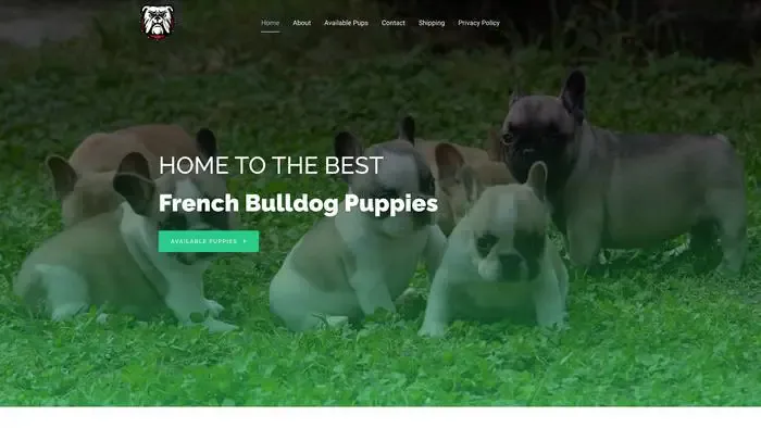 Screenshot of