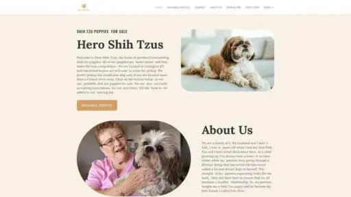 Screenshot of