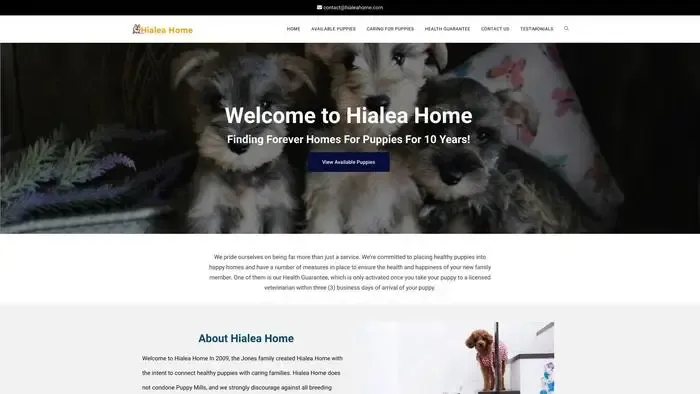 Screenshot of