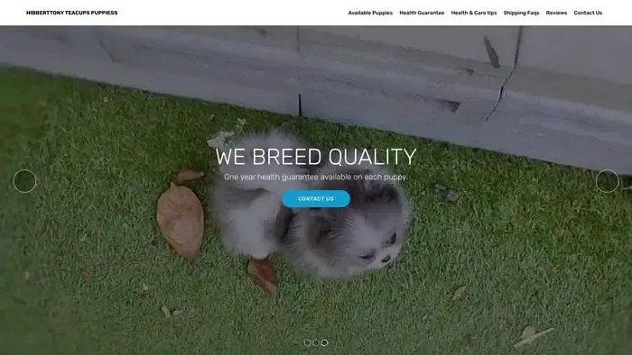 Screenshot of