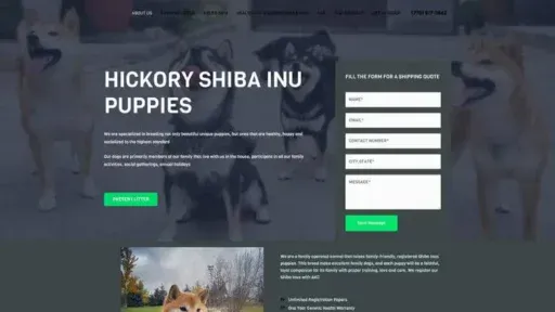 Screenshot of