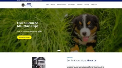 Screenshot of
