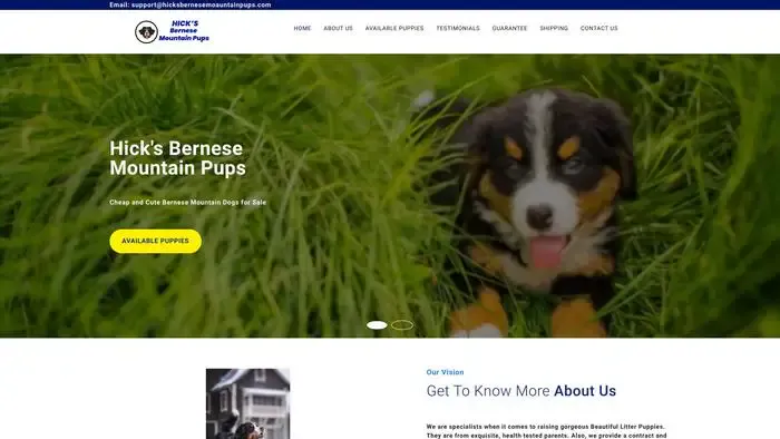 Screenshot of