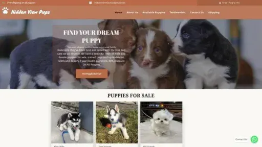 Screenshot of