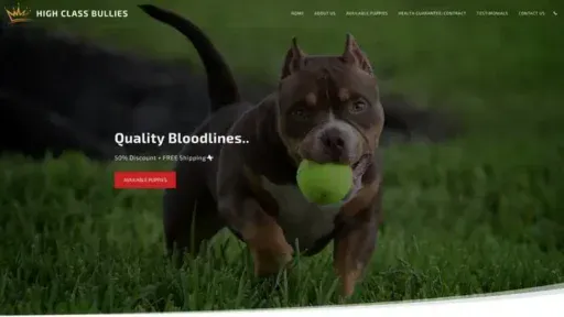Screenshot of
