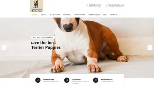 Screenshot of