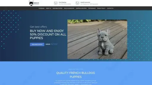 Screenshot of