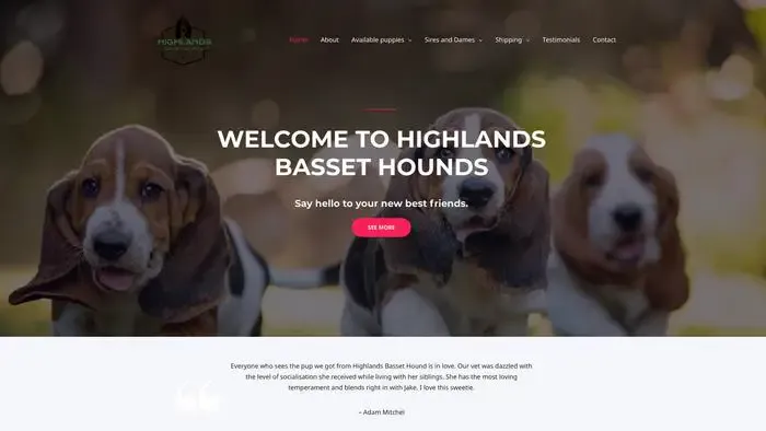 Screenshot of