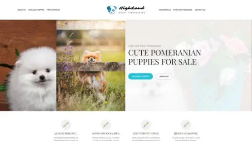 Screenshot of