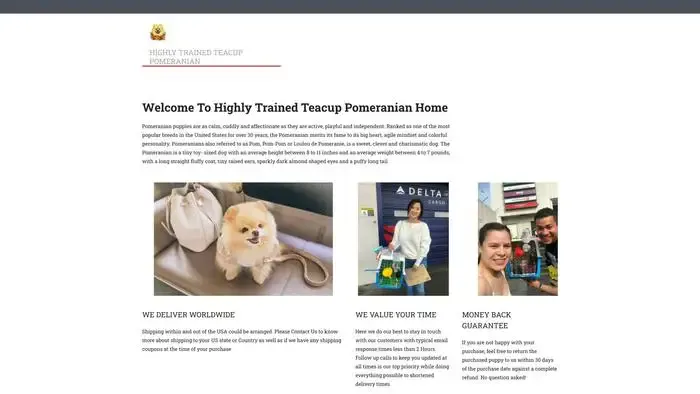 Screenshot of
