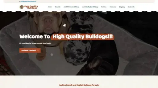 Screenshot of