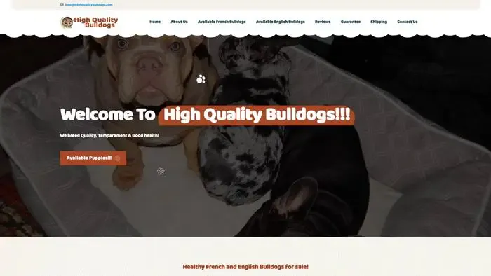 Highqualitybulldogs
