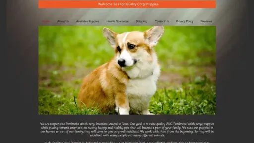 Screenshot of