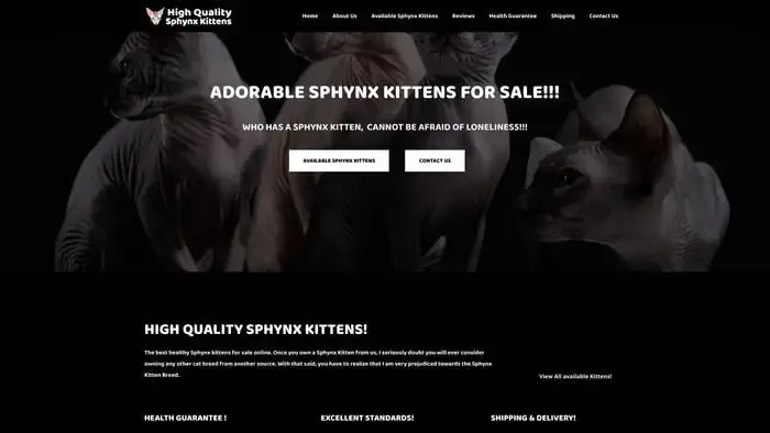 Screenshot of
