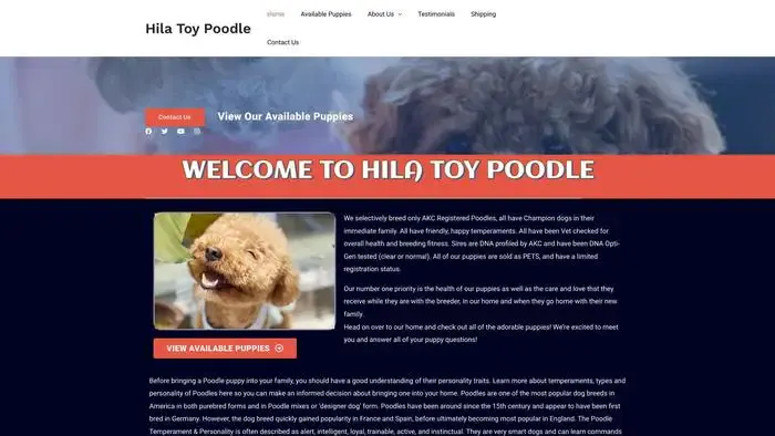 Screenshot of