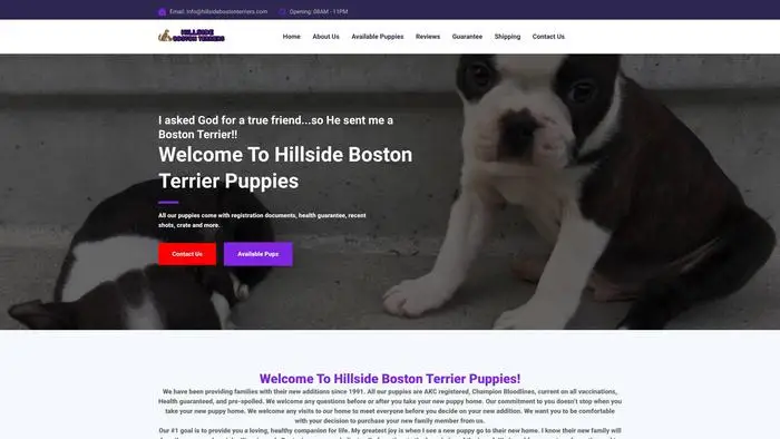 Screenshot of