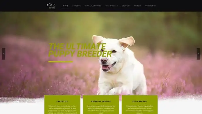 Screenshot of