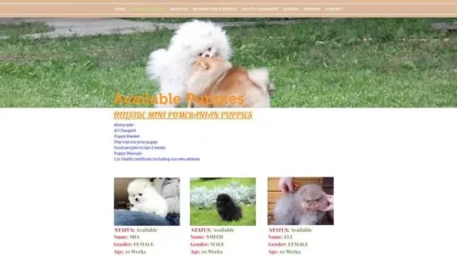 Screenshot of