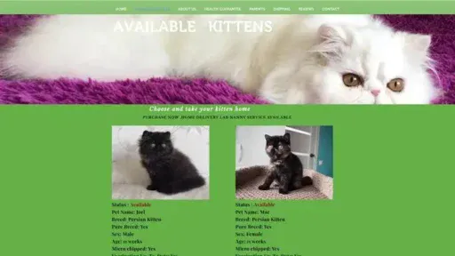 Screenshot of