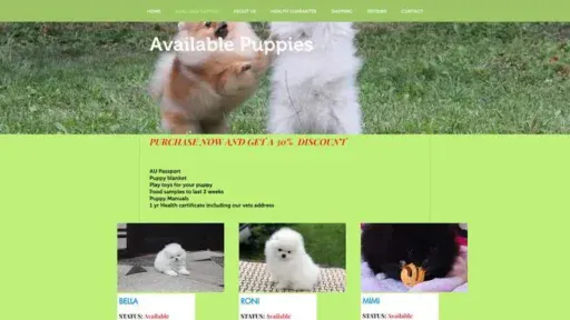Screenshot of