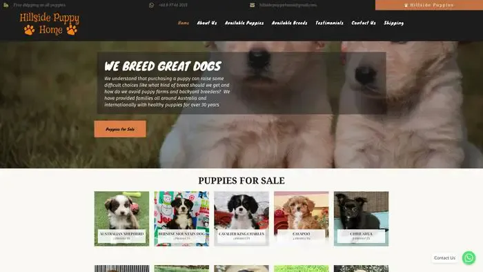Screenshot of