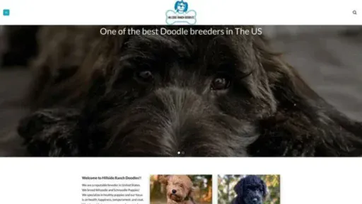 Screenshot of||
