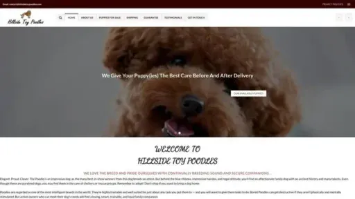 Screenshot of