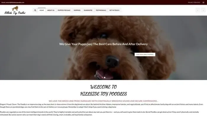 Screenshot of