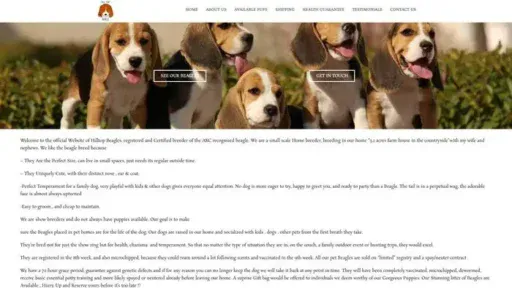 Screenshot of