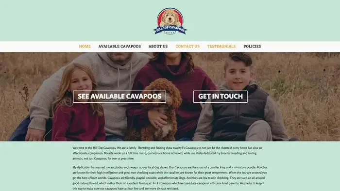Screenshot of