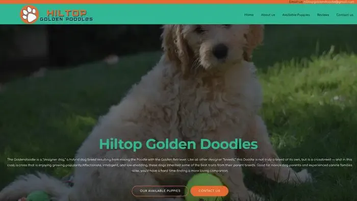 Screenshot of
