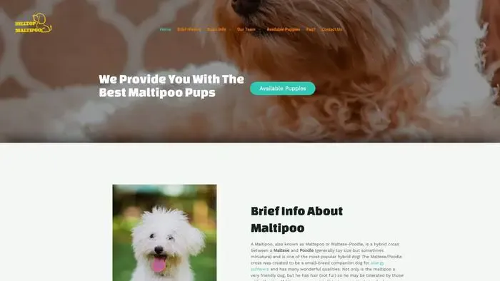Screenshot of