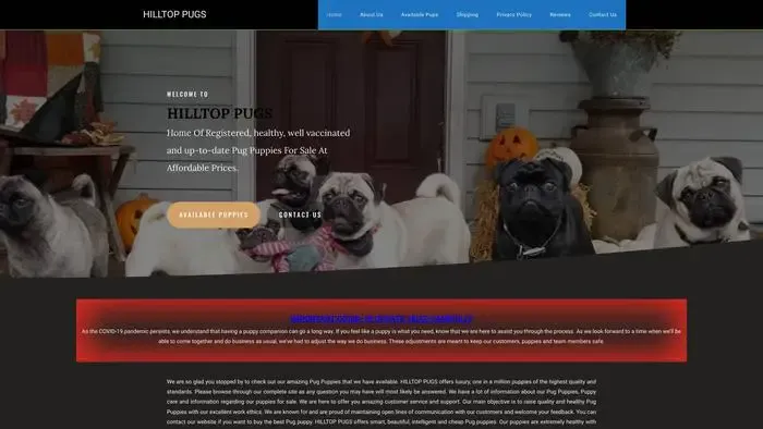 Screenshot of