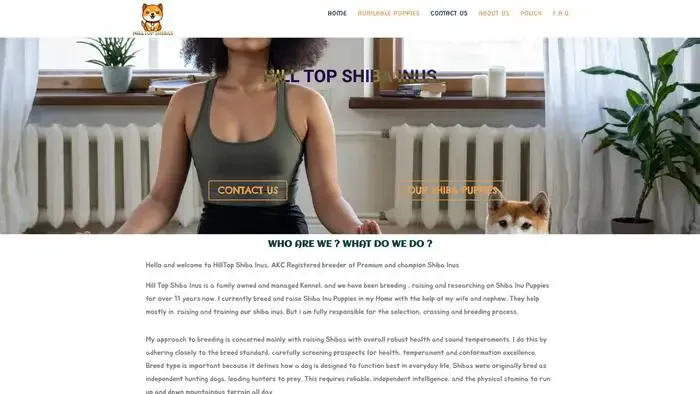 Screenshot of