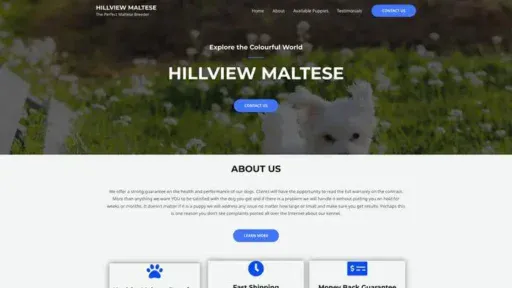 Screenshot of