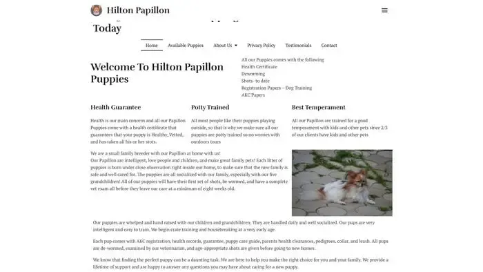 Screenshot of