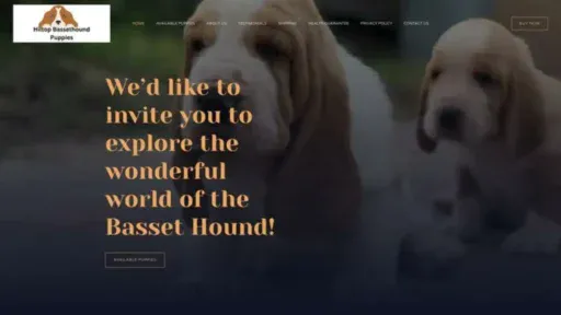 Screenshot of||