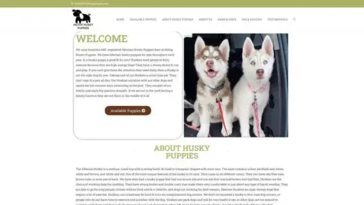 Screenshot of
