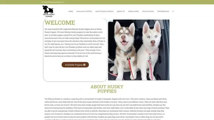 Screenshot of