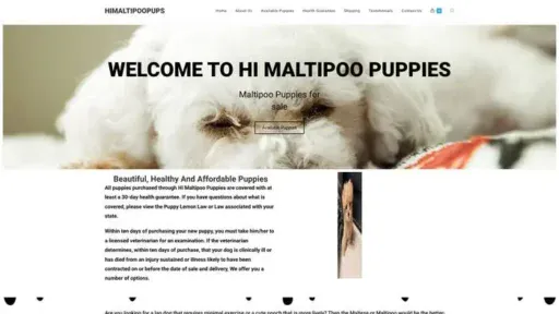 Screenshot of