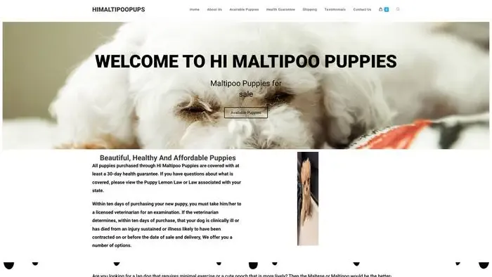 Screenshot of