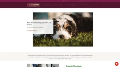 Screenshot of