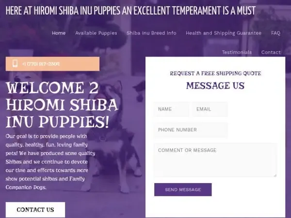 Screenshot of